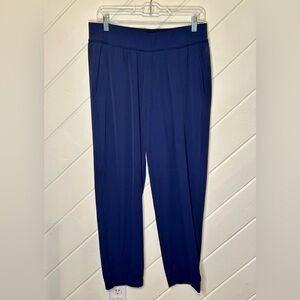 Cotopaxi Adventure Joggers in Blue, Size XL